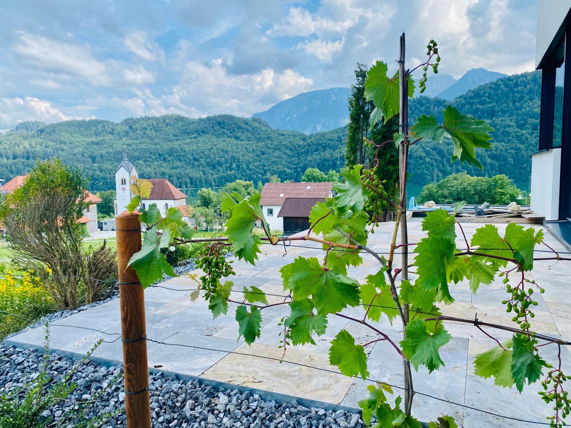 Luxury Mountain Lodge Füssen Extérieur photo